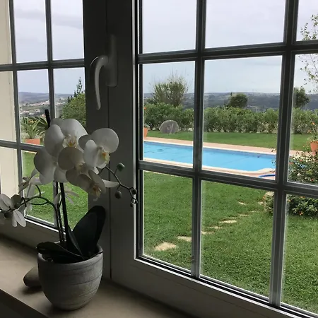 Apartament The Garden